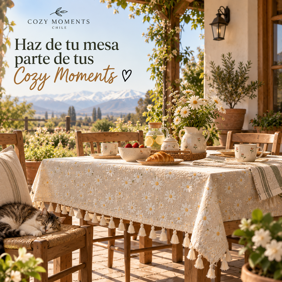 Mantel Margaritas | Tu mesa al puro estilo Golden Daisy 🌼