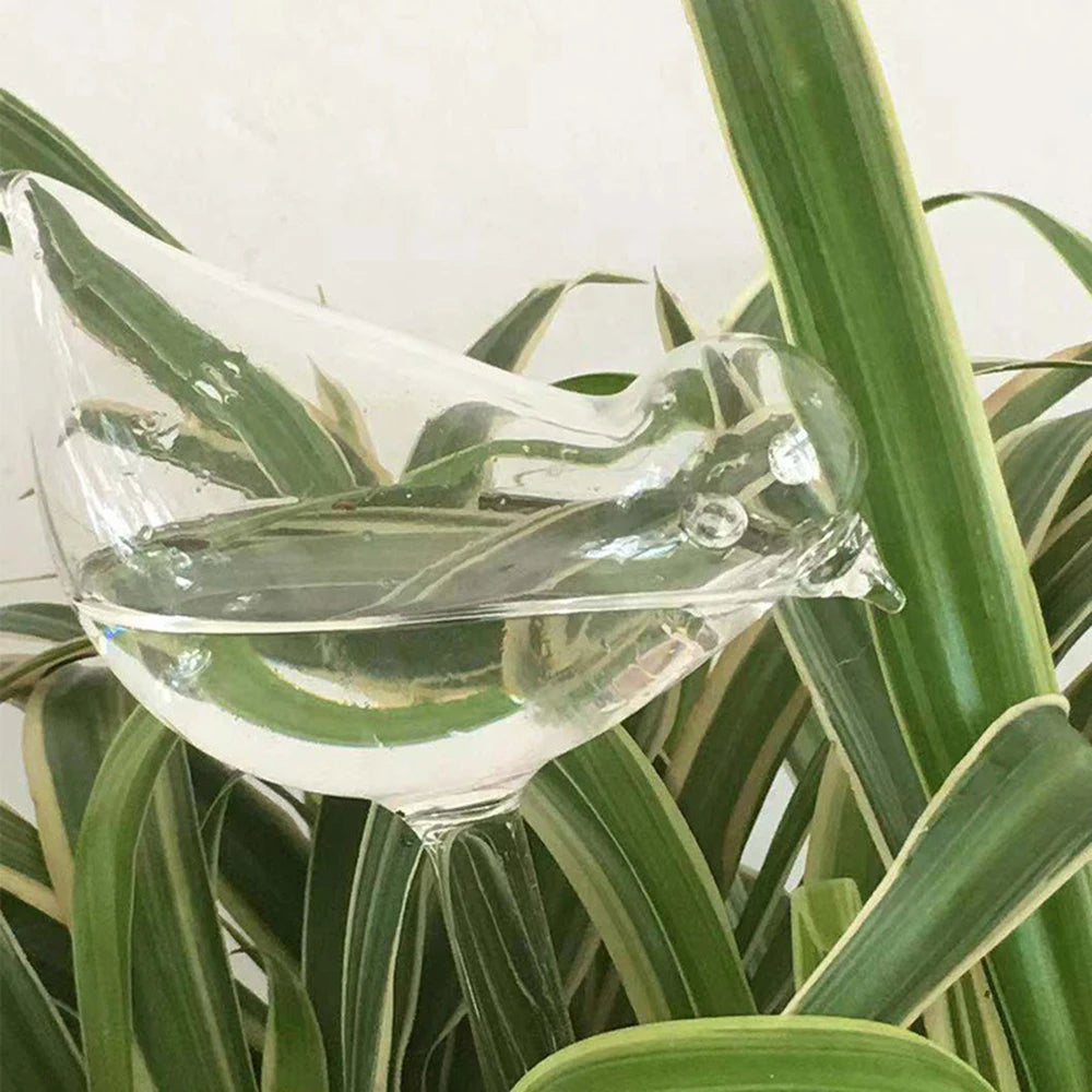 5 Packs Bird- Perfect For Automatic Flower Watering