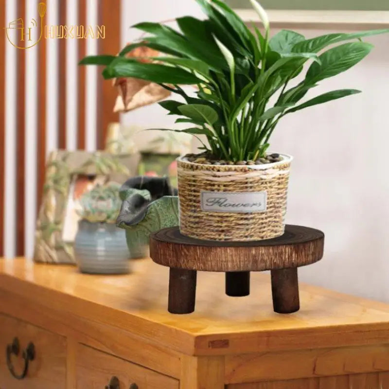 Base de Madera para Plantas — El suelo perfecto para tu verde