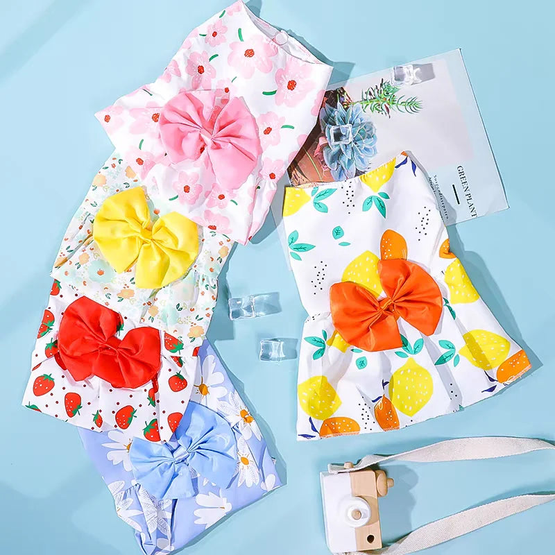 Vestido Princesa para Mascotas