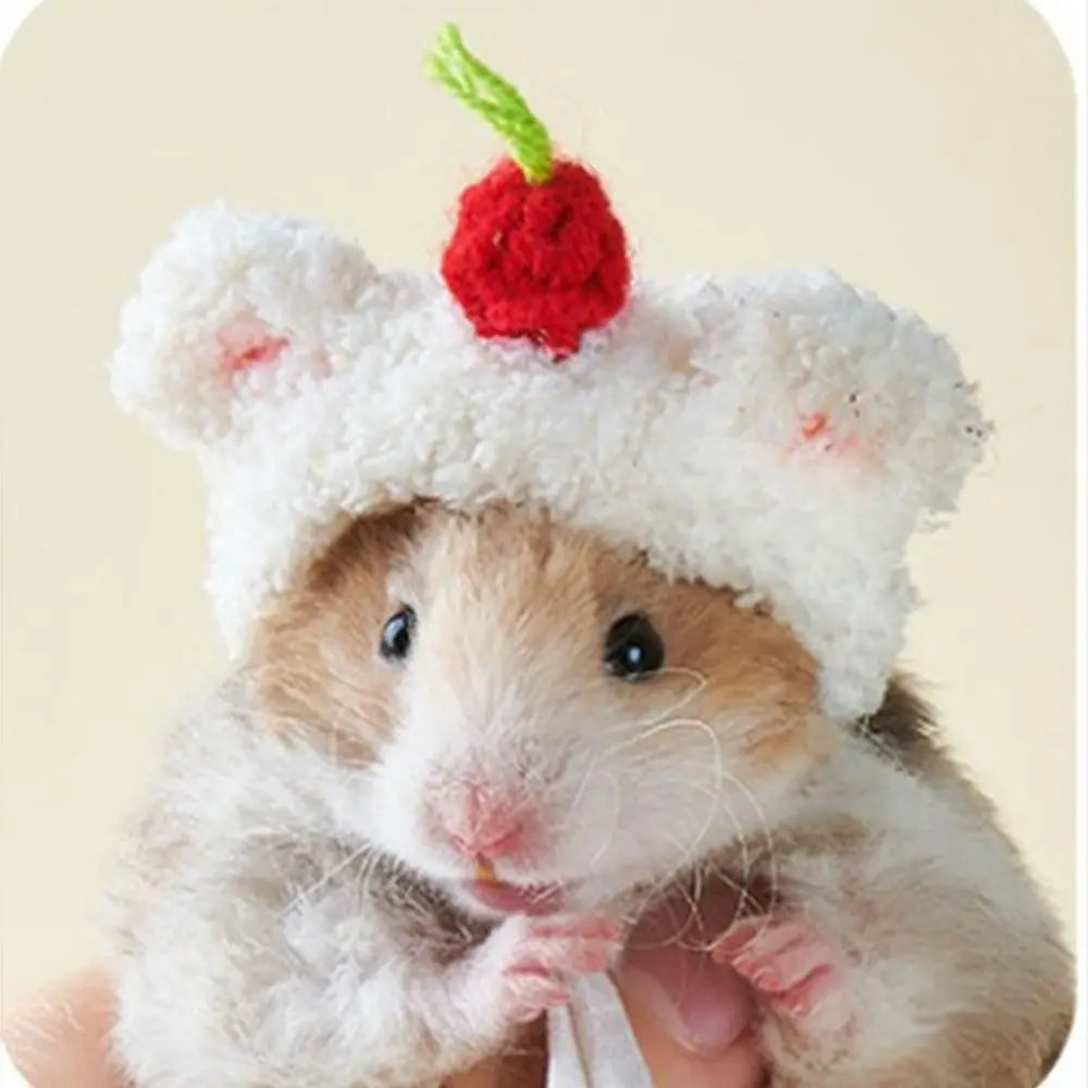 Gorrito Tejido para Mascotas