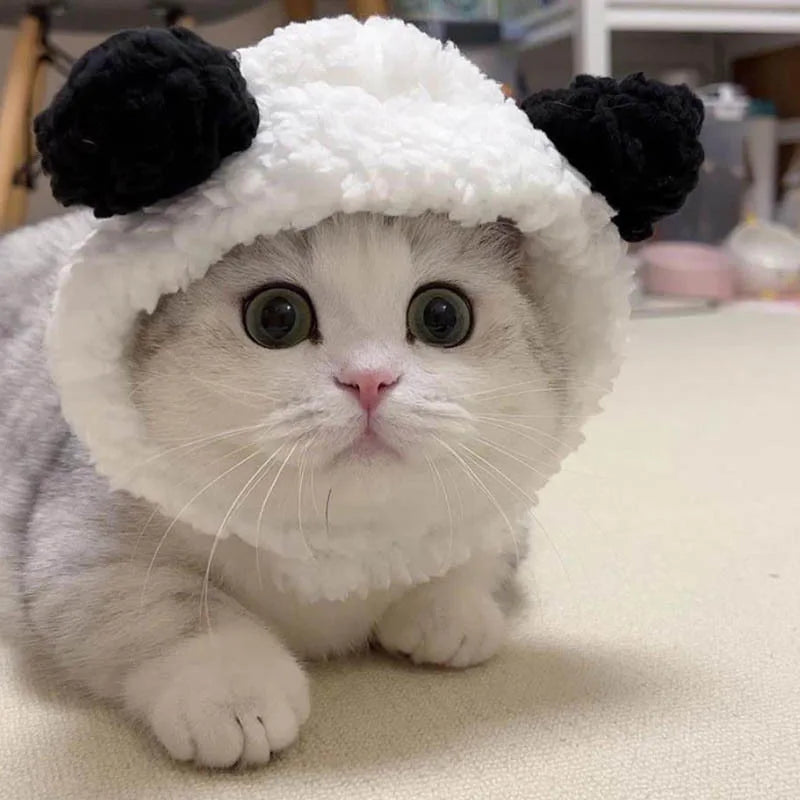 Gorrito Disfraz para Mascotas