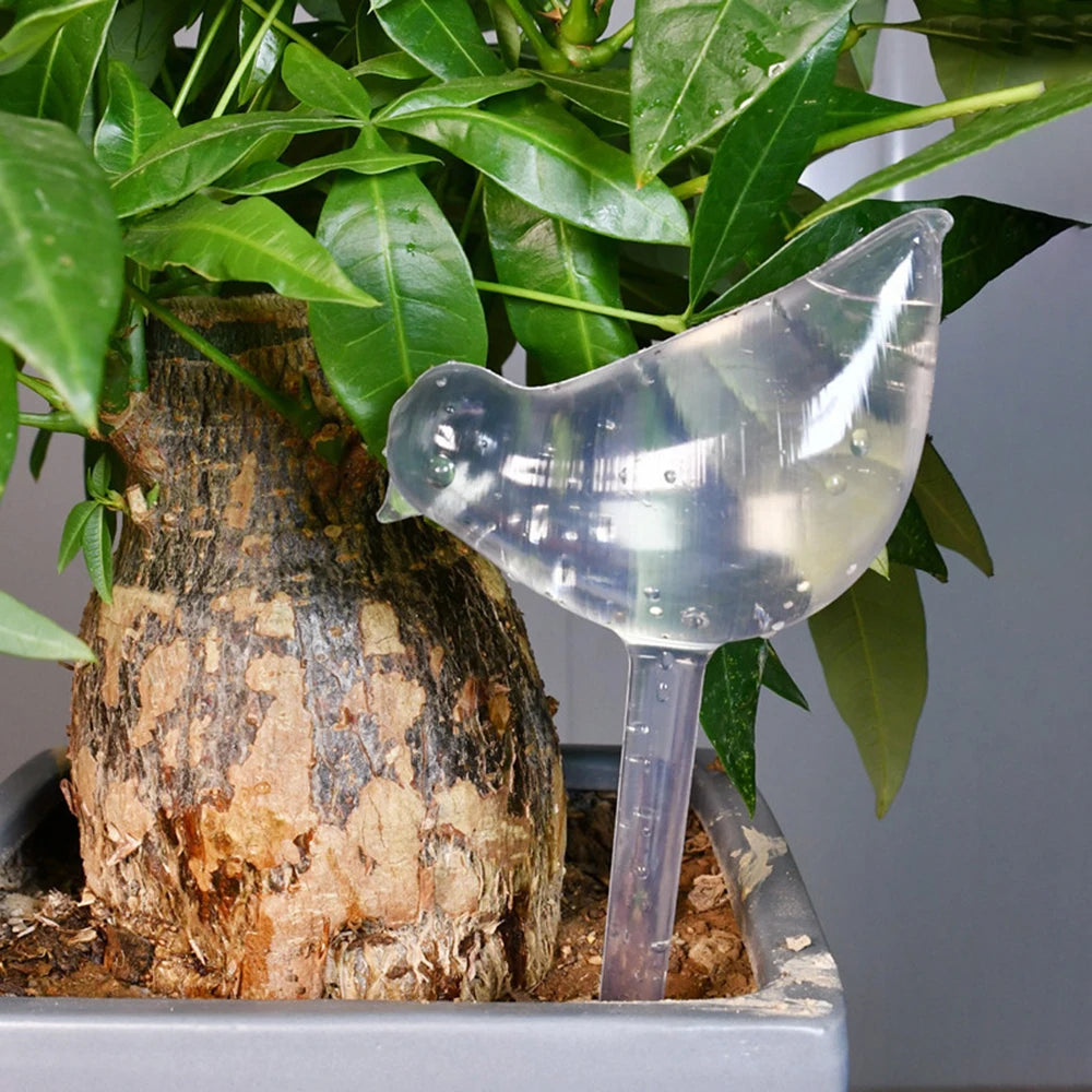 5 Packs Bird- Perfect For Automatic Flower Watering