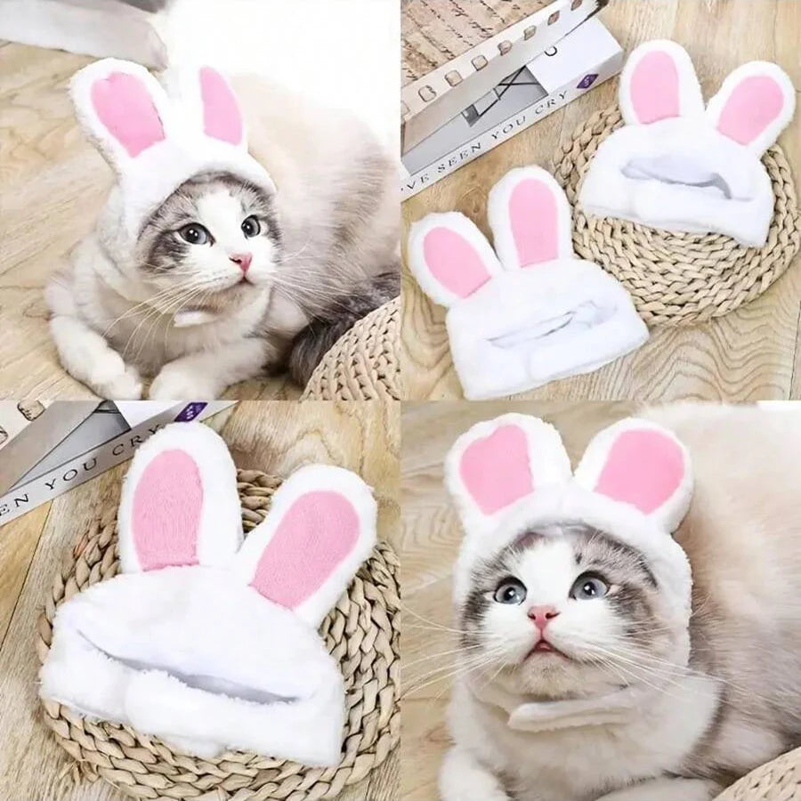 Gorrito Disfraz para Mascotas