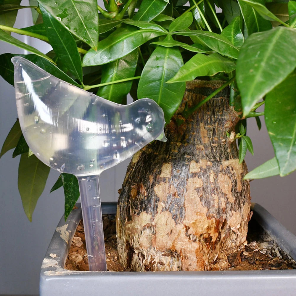 5 Packs Bird- Perfect For Automatic Flower Watering