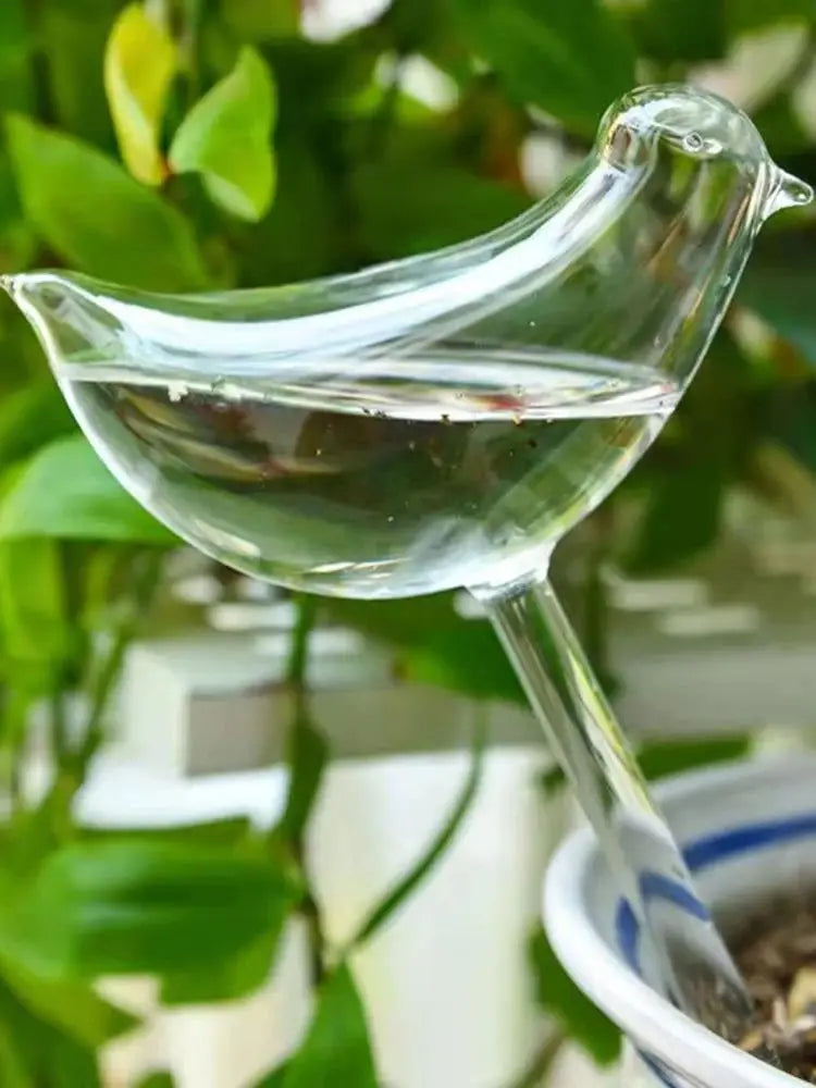 5 Packs Bird- Perfect For Automatic Flower Watering