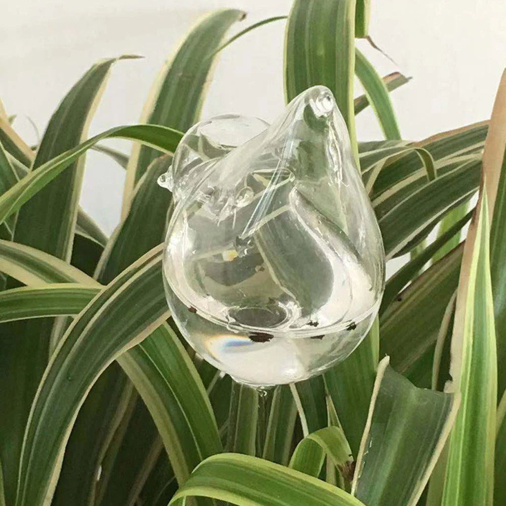 5 Packs Bird- Perfect For Automatic Flower Watering